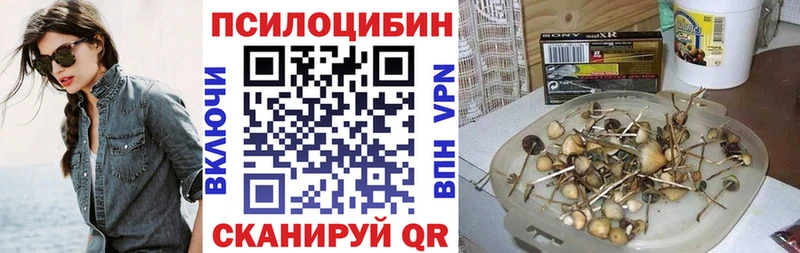 Галлюциногенные грибы Psilocybe Пыть-Ях